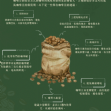 巴拿馬 凱薩路易斯(波奎特精選)