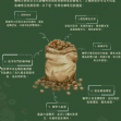 哥倫比亞 薇拉