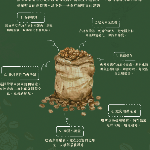 薩爾瓦多 大嘴鳥